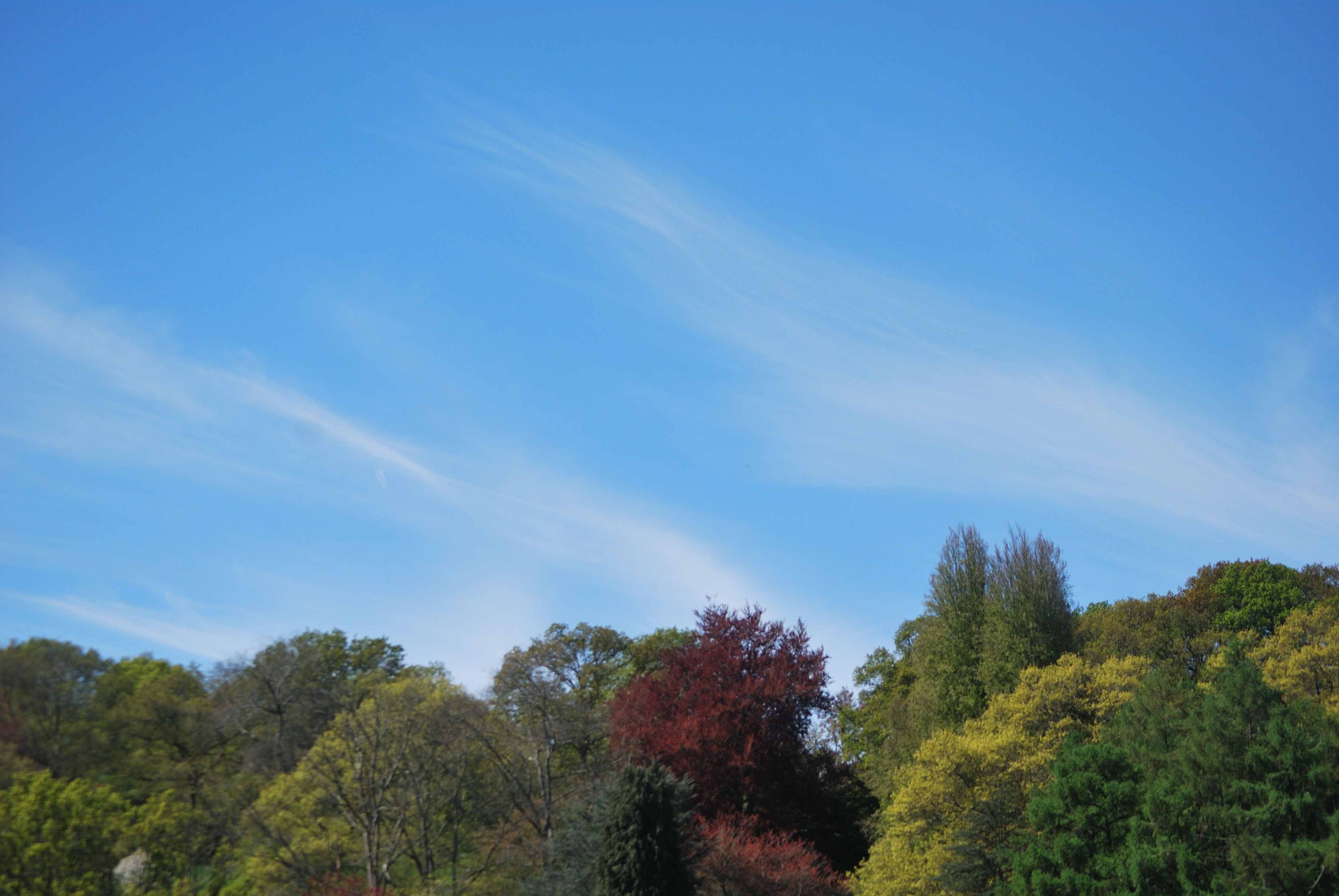 Soft Strokes photo